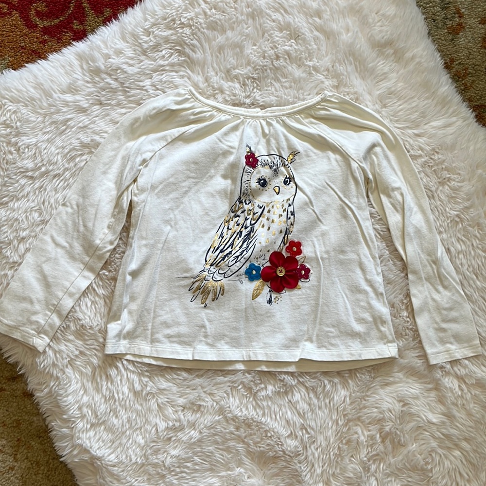 Baby Gap size 5 years owl print long sleeve tshirt